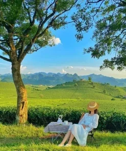 Tour Hà Nội – Mộc Châu 2 ngày 1 đêm: Trải nghiệm cuộc sống vùng cao cùng Hello VietTour
